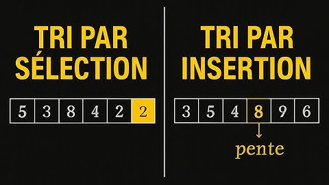 Tri par Sélection (Sélection Sort) & Tri par Insertion (Insertion Sort)