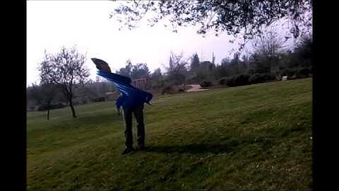 Efecto slit-scan usando OpenCV