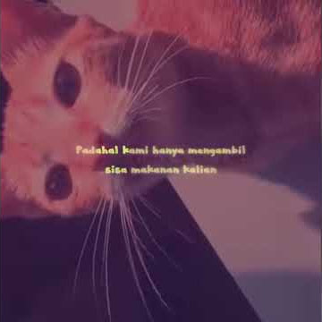 Story wa cat yok marilah_terbaru2020