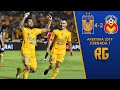 Tigres vs Morelia 4-2 Resumen Jornada 1 Apertura 2019 Liga Mx HD