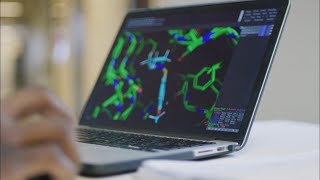 USF Health - MS in Bioinformatics & Computational Biology