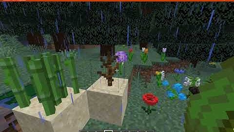 Nature Revamp 1.15.2 & 1.16.1 Resource Pack Overview