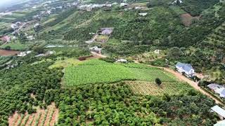 2T.r\/1m2, Quá hời