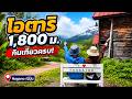 ข้างๆ ฮากุบะมีออนเซ็นวิวป่า! เที่ยวโอตาริ ขึ้นเขา 1,800 เมตร | Nagano