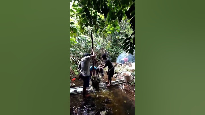 Beginilah Cara Cari Ikan Secara Tradisional Menggunakan Buah Tuba di Pedalaman Kalimantan