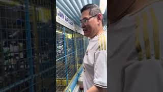 Racing Pigeon Tips Trivia & history. Blood line and its Capability.