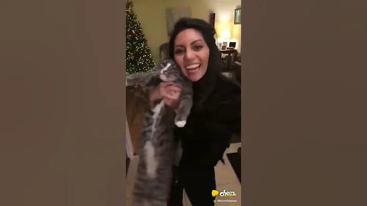 Cat not happy for the new years