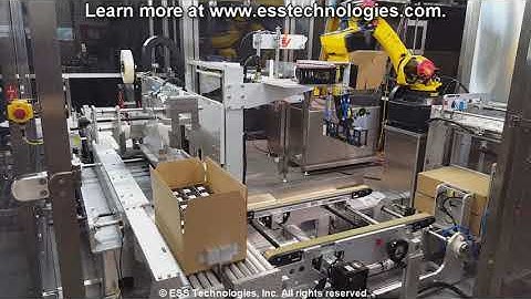 Side-Load Case Packer with Robotic Case Erector