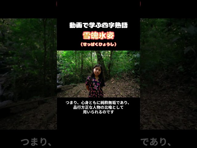 雪魄氷姿(せっぱくひょうし)NEW!