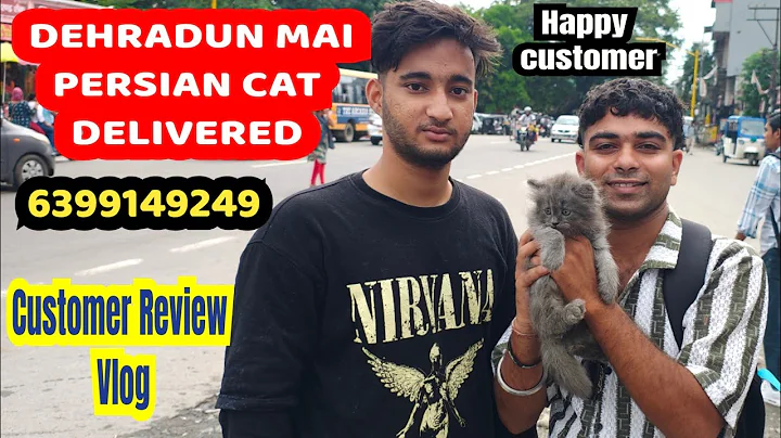 Watch the video about 🥳Dehradun Mein Di Persian Cat Ki Live Delivery | Triple Coat Russian Blue Beauty | 6399149249 #cat
