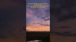 Thư giãn với những những ánh sáng cuối ngày #relaxing #timelapse #sunset