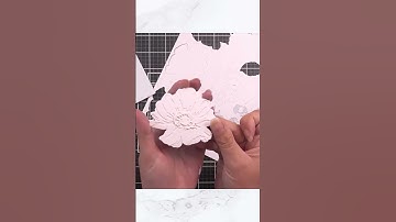 WOW With White On White #shorts