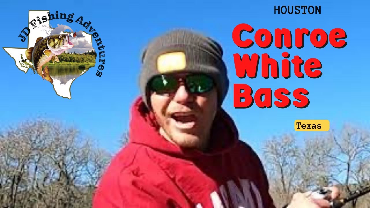 How To Catch TONS Of White Bass FAST (Summer Fishing) 