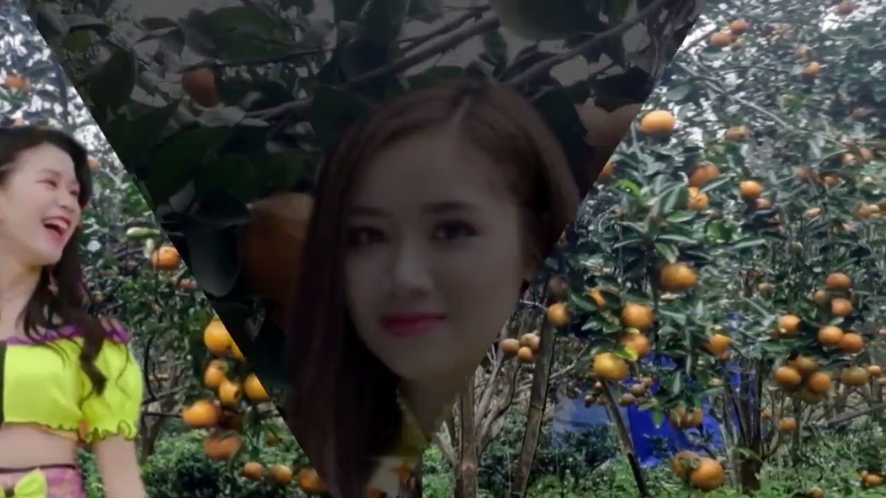 Song ca Tuấn vũ Giao linh. Rồi mai ta xa nhau.