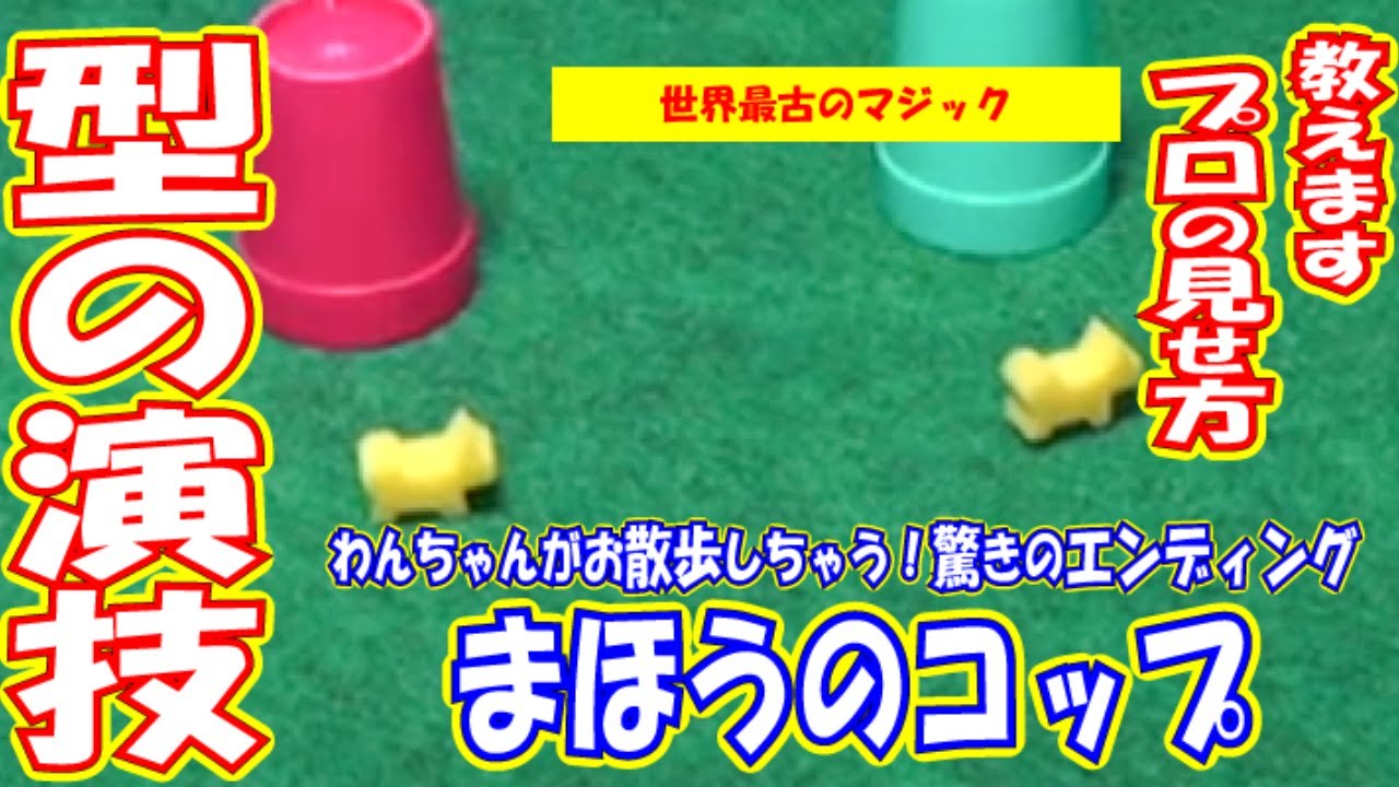 プロのやり方教えます】まほうのカップ ｜8つの手品｜簡単手品