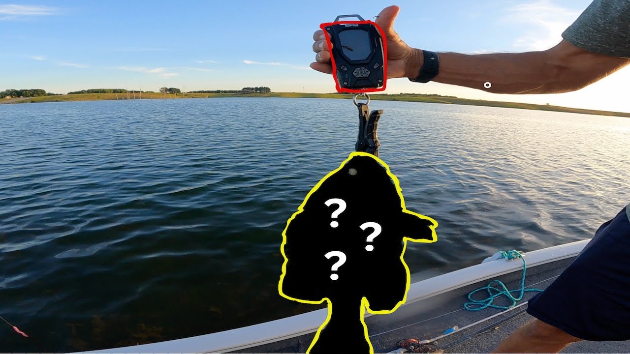 Only Expected to Catch LARGEMOUTH BASS Today… – New Boat (Ep. 7)
