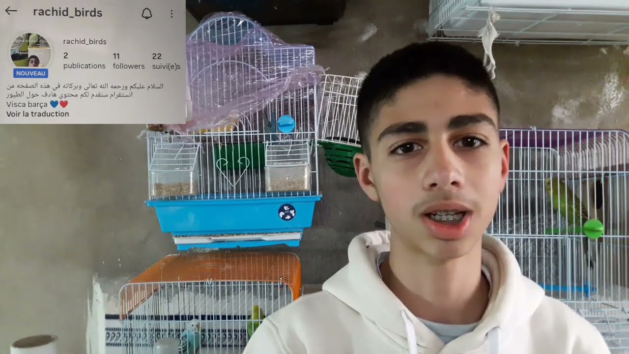 جوله رمضانيه في غرفه الطيور شنو هما الكوبلات لي زدت في غرفه الطيور