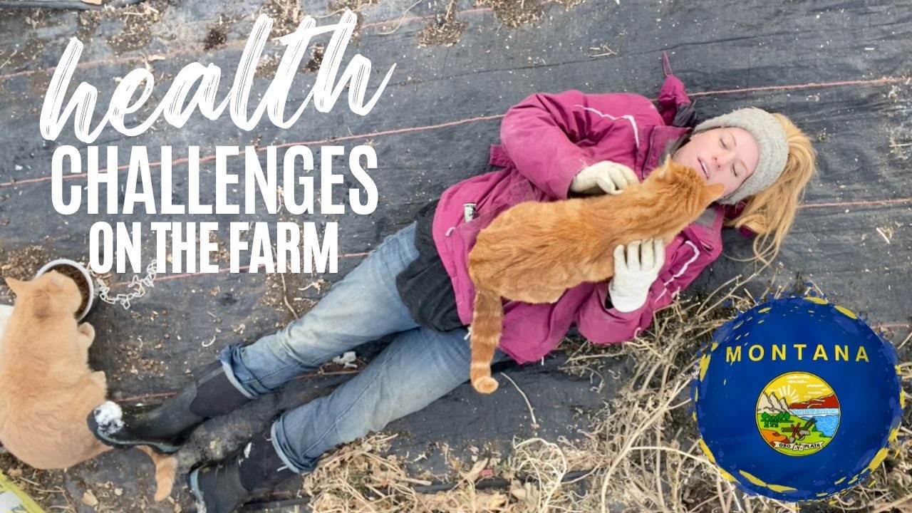 Health challenges on the farm - YouTube