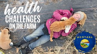 Health challenges on the farm