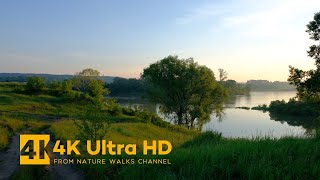 Morning Walk in a Sunny Weather screenshot 2