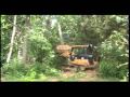 Cat 953c pushing trees over
