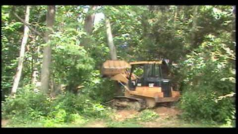 CAT 953C pushing trees over.