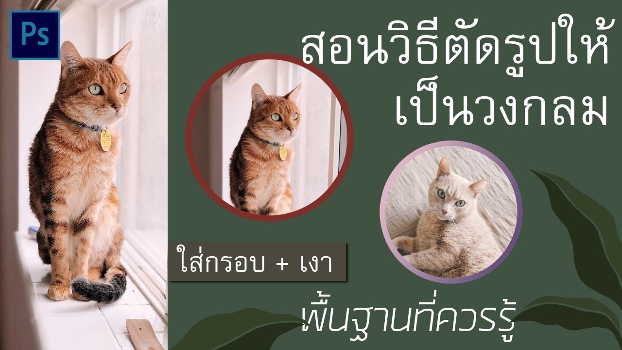 ทํากรอบรูปใน photoshop  Update  วิธีตัดรูปให้เป็นวงกลมแบบง่ายๆ ใส่กรอบ+เงา (สำหรับผู้ใช้งานเริ่มต้น)โปรแกรม Photoshop │ cozy yellow