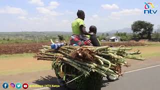 Video of the day: A trader finds a way to transport both herself and her cargo on a boda boda