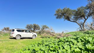 كشتة لشعبان العرمه ( شعيب فريثان والترباعة والشوكي) وختامها فيضة الحيرا