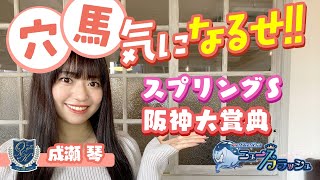 【スプリングS&阪神大賞典】強力メンバーの中から穴馬を紹介！