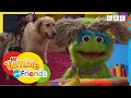 Dogsitting | In the Doghouse | Justin's House | Mr Tumble and Friends