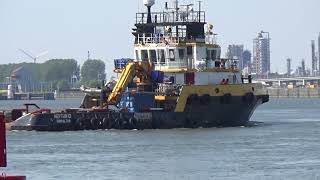 NEPTUN 10, IMO 9568615