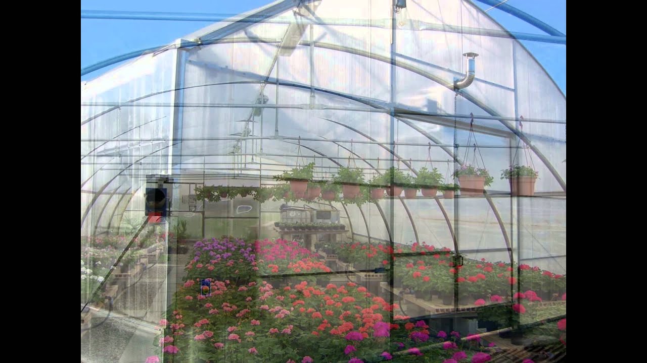 Sere Pentru Flori Www Sere Romania Ro Youtube