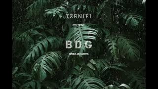 Tzeniel - BDG (big Room/Jungle Terror)preview 2023
