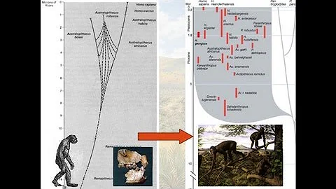 CARTA:Bipedalism and Human Origins--Leslie C. Aiel...