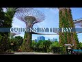Gardens by the Bay Singapore Walking Tour
