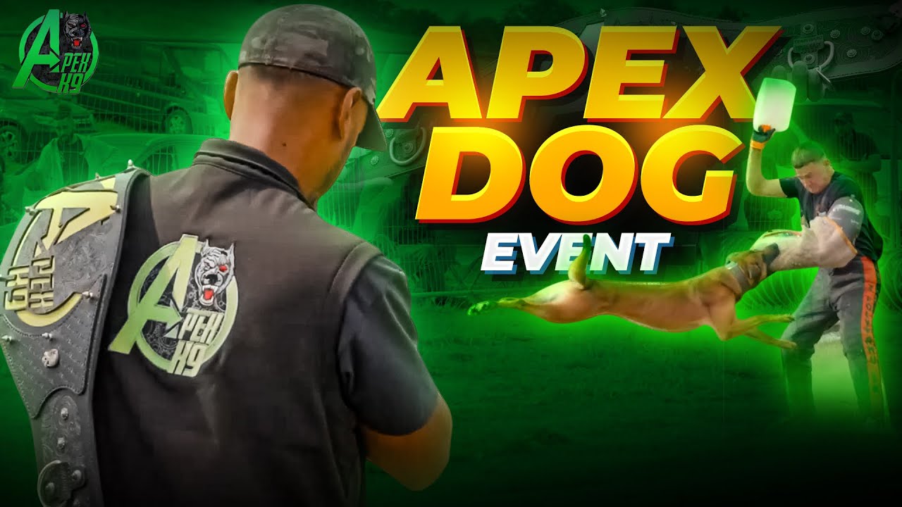 Apex K9 TRIALS TRIBULATIONS WORKING DOG EVENT YouTube dog-solidgrowth-34-03-jpg