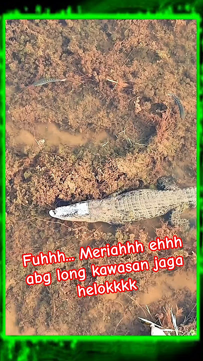 fuhhhh meriahhhh ehhh abg long kawasan jaga.. helokkk aihhh
