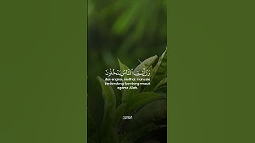 سورة النصر #AlQuran   #QuranicTale