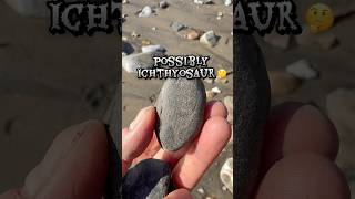 Reptile remains! #dorset #fossils #bones  #reptiles #remains #jurassic #uk #beach #finds #find #pov