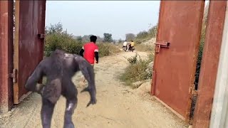 Download Lagu Werewolf attack epic goosebumps clips and hard running and fighting #werewolf #video 🔥🔥 MP3 Download Lagu Werewolf attack epic goosebumps clips and hard running and fighting #werewolf #video 🔥🔥 MP3