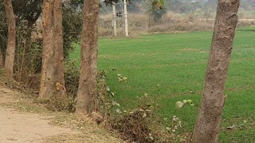 PLOT IN RAJGIR @ 2 LAC PER KATTHA ONLY #rajgir #giriak #itcity  #filmcity #naturesafari #glassbridge