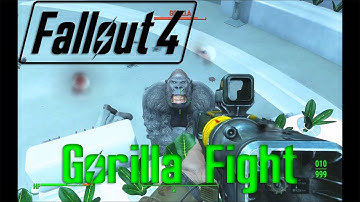 Gorilla Fight | Fallout 4