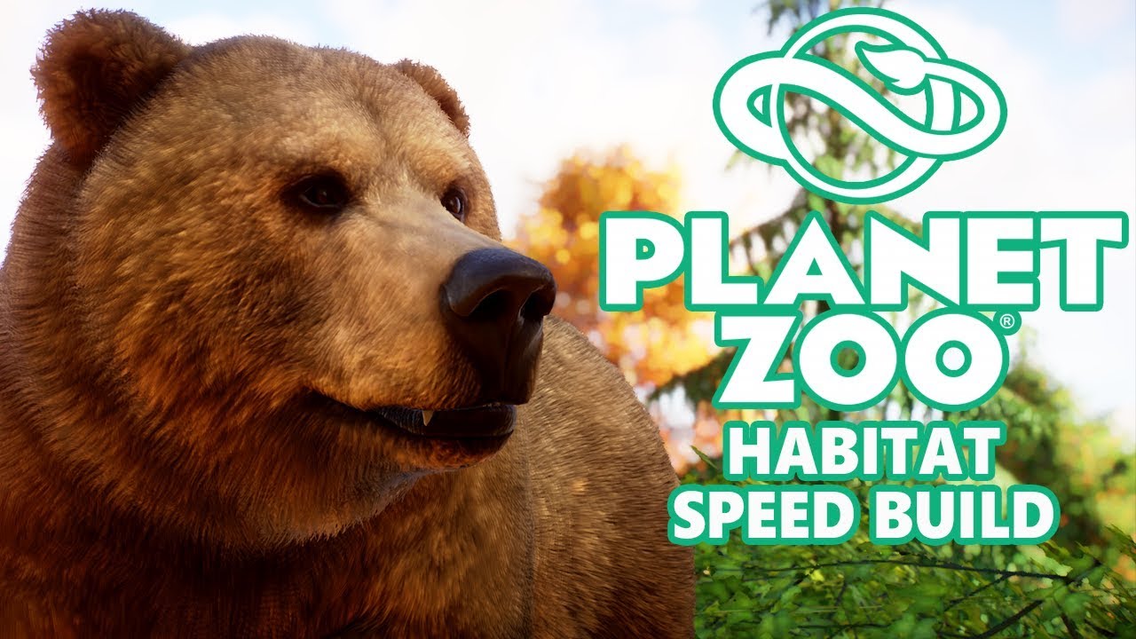 Planet Zoo review: Zoo Tycoon, but for people who want to build bear-themed  bathrooms