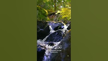 _القرآن الكريم_ ماتيسر _من سورة #مريم #اكسبلور  #اللهم صل وسلم وبارك على نبينا محمد _