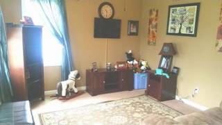 7 Lambs Pond Circle video tour
