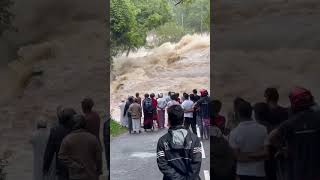 මිනිස්සු මීට වඩා සැලකිලිමත් වුනා නම් හොදයිනේ ❗️