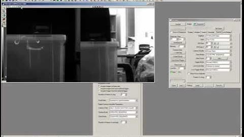 Controlling Two Cameras in Metamorph Software
