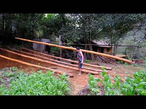 Primitive Skills:  Build factories, Sawmills for wood processing - Ep.158