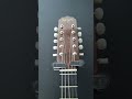 Rozini RV155 Caipira Clássica Natural — A Viola Caipira que Carrega a Tradição da Música Brasileira!